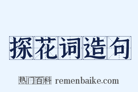 探花词造句是什么意思的图片